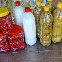 برگ مو دبه ای 135