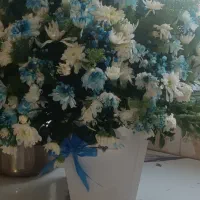 گل مناسب هدیه