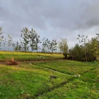 زمین-مسکونی-270-متری
