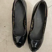 کفش زنانه و بوت شتری|کیف، کفش، کمربند|تهران, باغ فیض|دیوار