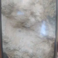 مجسمه سنگی