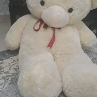 خرس عروسکی|اسباب‌‌بازی|اردبیل, |دیوار