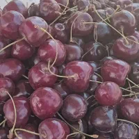 گیلاس گلمکان
