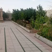 زمین-دارای-فونداسیون-و-پروانه