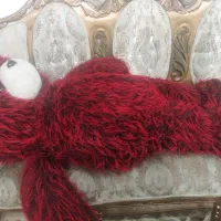 خرس بزرگ|اسباب‌‌بازی|لاهیجان, لیالستان|دیوار