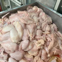 مرغ ماهی بوقلمون سینه فیله کتف بال بچه فیله|خوردنی و آشامیدنی|محمدشهر, همایون ویلا|دیوار