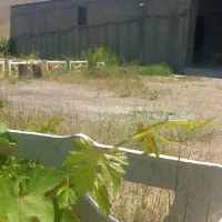 باغ و دامپروری|فروش دفتر صنعتی، کشاورزی، تجاری|سنندج, |دیوار