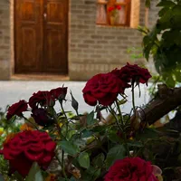 اقامتگاه سنتی بابابزرگ وزوان / میمه|اجارهٔ کوتاهمدت آپارتمان و سوئیت|میمه, |دیوار