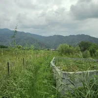 فروش زمین ۲۱۰ متری امکانات پای زمین