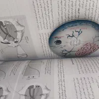 روان شناسی فیزیولوژیک جان پینل ترجمه دکتر فیروزبخت|کتاب و مجله آموزشی|قائم‌شهر, |دیوار