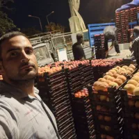 فروشکیلویی و تنی هلو|عمده‌فروشی|اصفهان, سرشبادران|دیوار