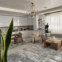 پالاز موکت