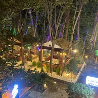 گارسون صندوقدار