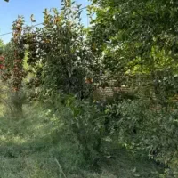 زمین مسکونی مزرعه کتول