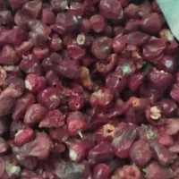 پخش عمده فلفل سیاه قلم نرم خالص جوزهندی درشت وغیره|خوردنی و آشامیدنی|تهران, شهرک استقلال|دیوار