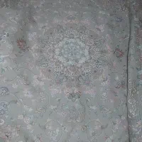 روفرشی رنگ فیلی