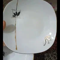 سرویس چینی دینو ۱۲نفره