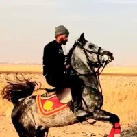 کشش  کره سالار فرخشهر