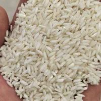 برنج عنبربو