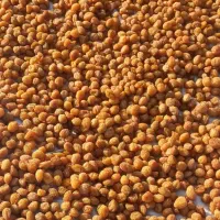 فروش الو طبیعی و تیزابی