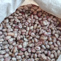 لوبیا چیتی خوش پخت