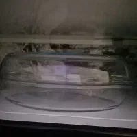 مرغ خوری درحدنو