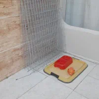 وسایل سگ خانگی به فروش میرسد|لوازم جانبی حیوانات|اصفهان, ارداجی|دیوار