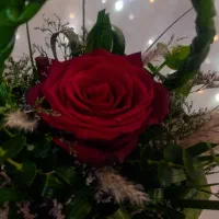 ب یک نفر ضامن بازاری احتیاج دارم