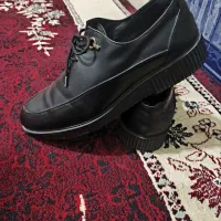 کفش مجلسی مردانه سایز۴۱|کیف، کفش، کمربند|یاسوج, |دیوار