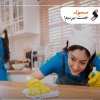 نظافتچی ماهر
