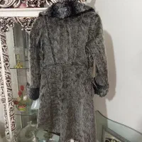 یک پلتو نو  کاپشن و  پافر