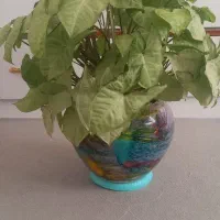 گل های شاداب