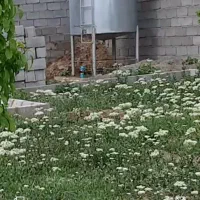 تانکر ۶ هزار لیتری گالوانیزه|ابزارآلات|تبریز, |دیوار