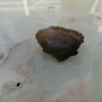 سنگ عقیق|جواهرات|نجف‌آباد, صالح آباد|دیوار