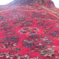 فرش کوردی دست بافت