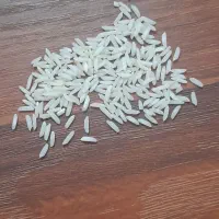 برنج طارم ولاشه