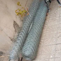 طورر برای طوریخانه کفتر