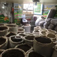 چای لاغری|خوردنی و آشامیدنی|کرج, ساسانی (قلمستان)|دیوار