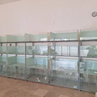 تجهیزات کامل سالن تکثیرماهی زینتی|ماهی|اردبیل, |دیوار