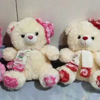 عروسکهای زیبای پولیشی