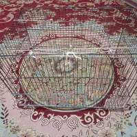 قفس سایز ۵۲ بزرگ