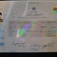 تحصیلات