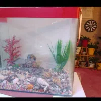 لوازم جانبی حیوانات|ماهی|ایرانشهر, |دیوار