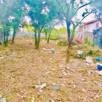 خونه باغ 800 متر داخل بافت باسند چسبیده به شهر|فروش خانه و ویلا|امامزاده عبدالله, |دیوار