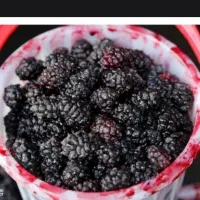شاه توت درجه یک درشت