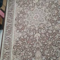 فرش کارکرده|فرش|رشت, هلال احمر|دیوار