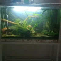 آکواریوم با تمام تجهیزات