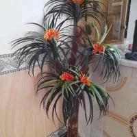 لوازم منزل|گل مصنوعی|قوچان, |دیوار