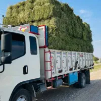 یونجه پرس خشک تازه خوزستان