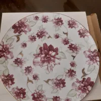 دیس های چینی بسیار زیبا و دیس ماهی نو با جعبه|ظروف سرو و پذیرایی|تهران, اباذر|دیوار